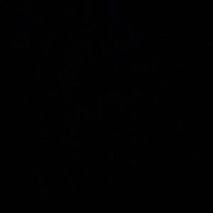 Meet your Posher, Tanvi